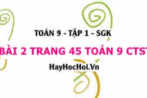 Bài 2 trang 45 Toán 9 tập 1 Chân trời sáng tạo